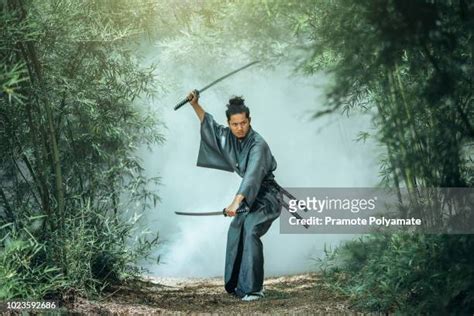 katana kombat pics|3,214 Katana Stock Photos & High